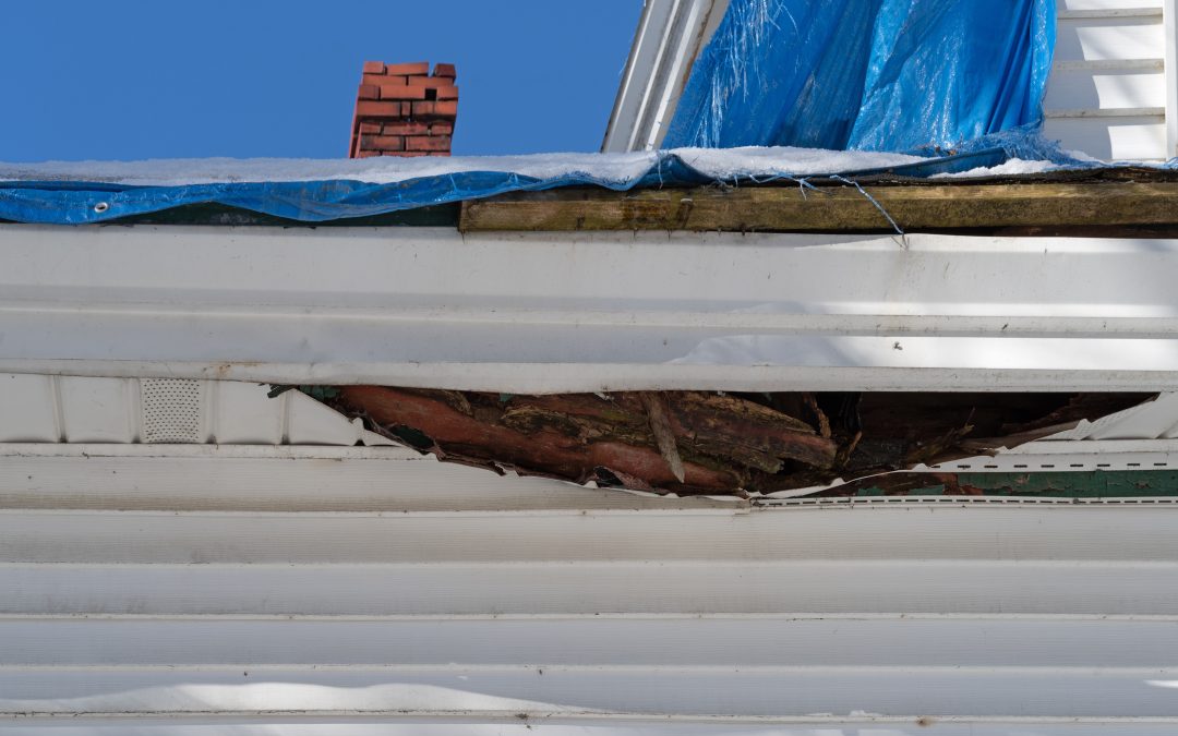 "Choose Angell's for home protection and storm damage repair in the greater Twin Cities area. Contact us today!"