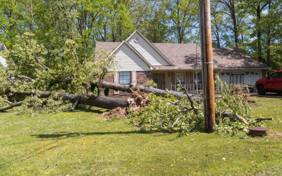 Storm damage insurance repair Minnesota